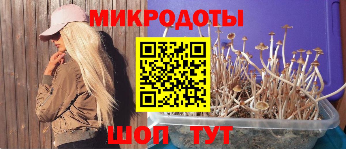 Псилоцибиновые грибы GOLDEN TEACHER Алексин