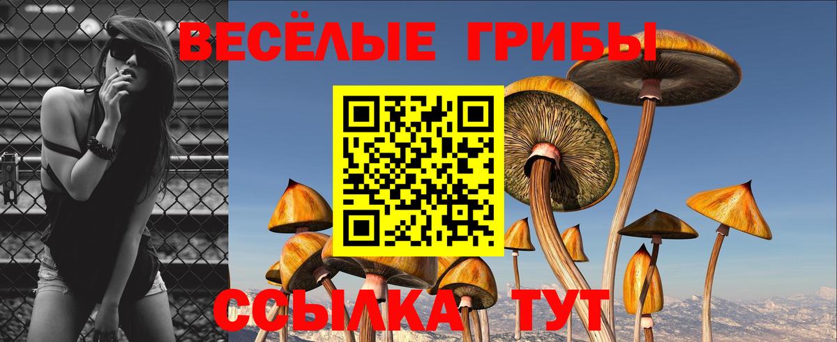 Галлюциногенные грибы Psilocybine cubensis  Псилоцибиновые грибы мухоморы  Алексин  Вход с VPN 